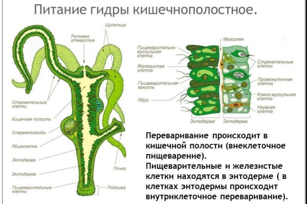 Кракен шоп это